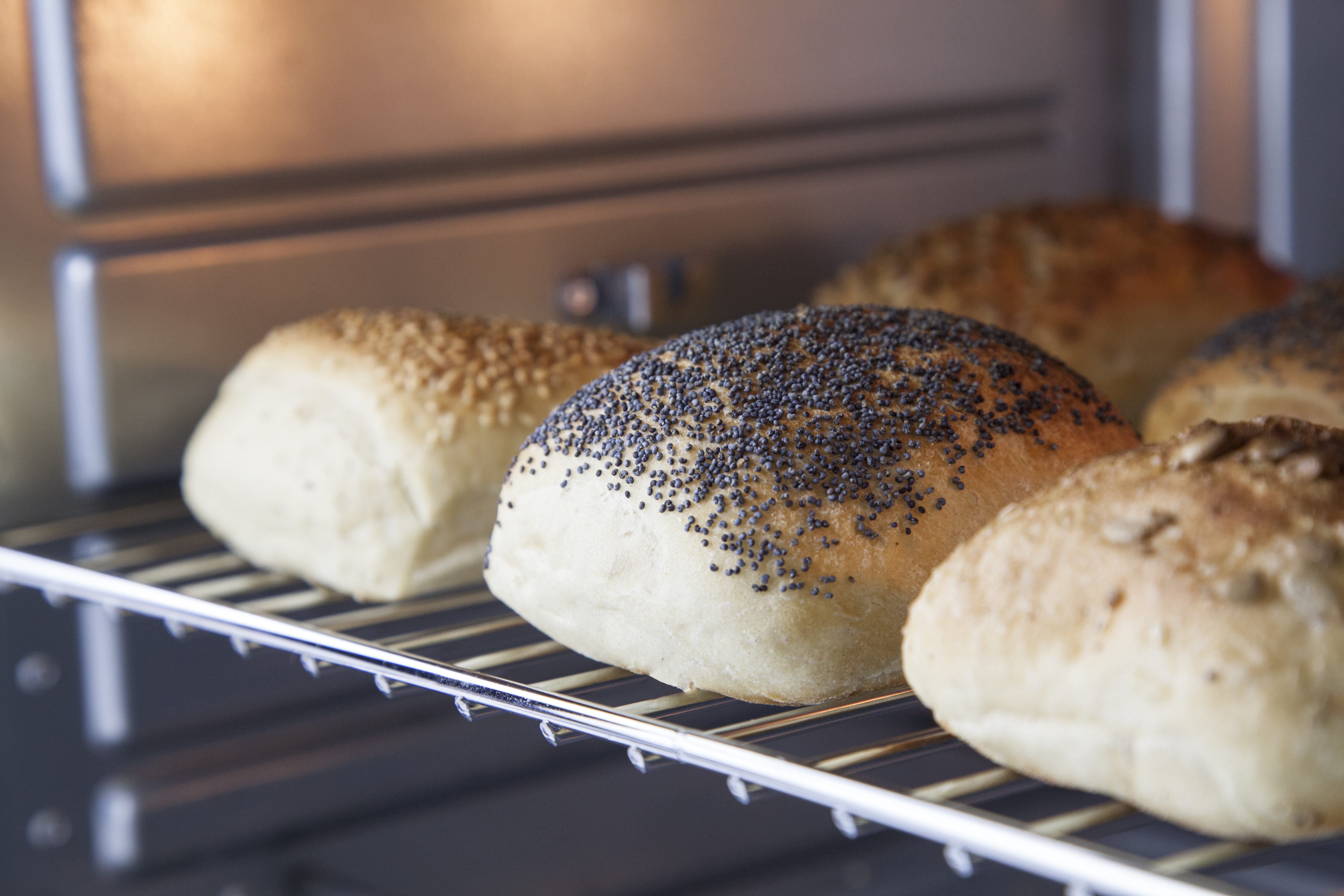 Caso Miniovn TO26 electronic 1500W